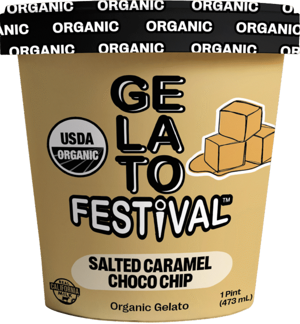 SALTED CARAMEL CHOCO CHIP