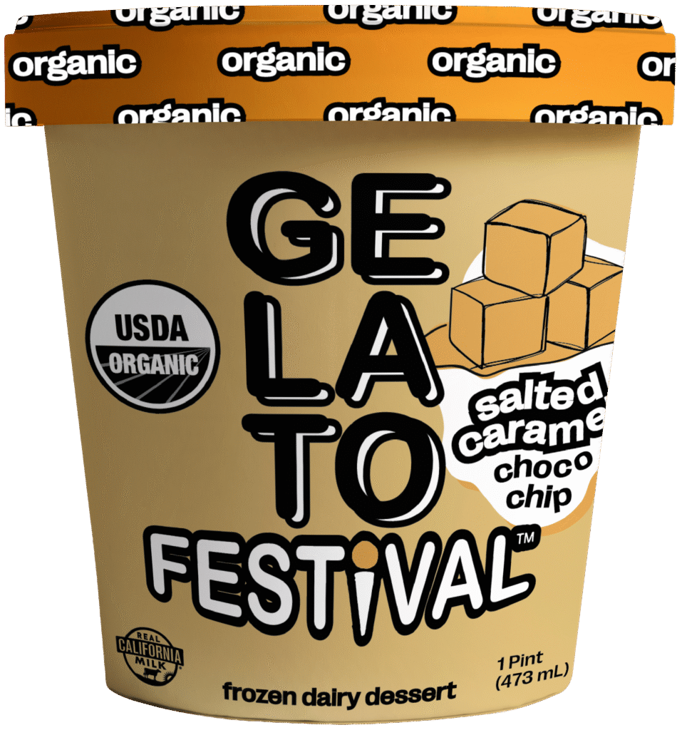 SALTED CARAMEL CHOCO CHIP